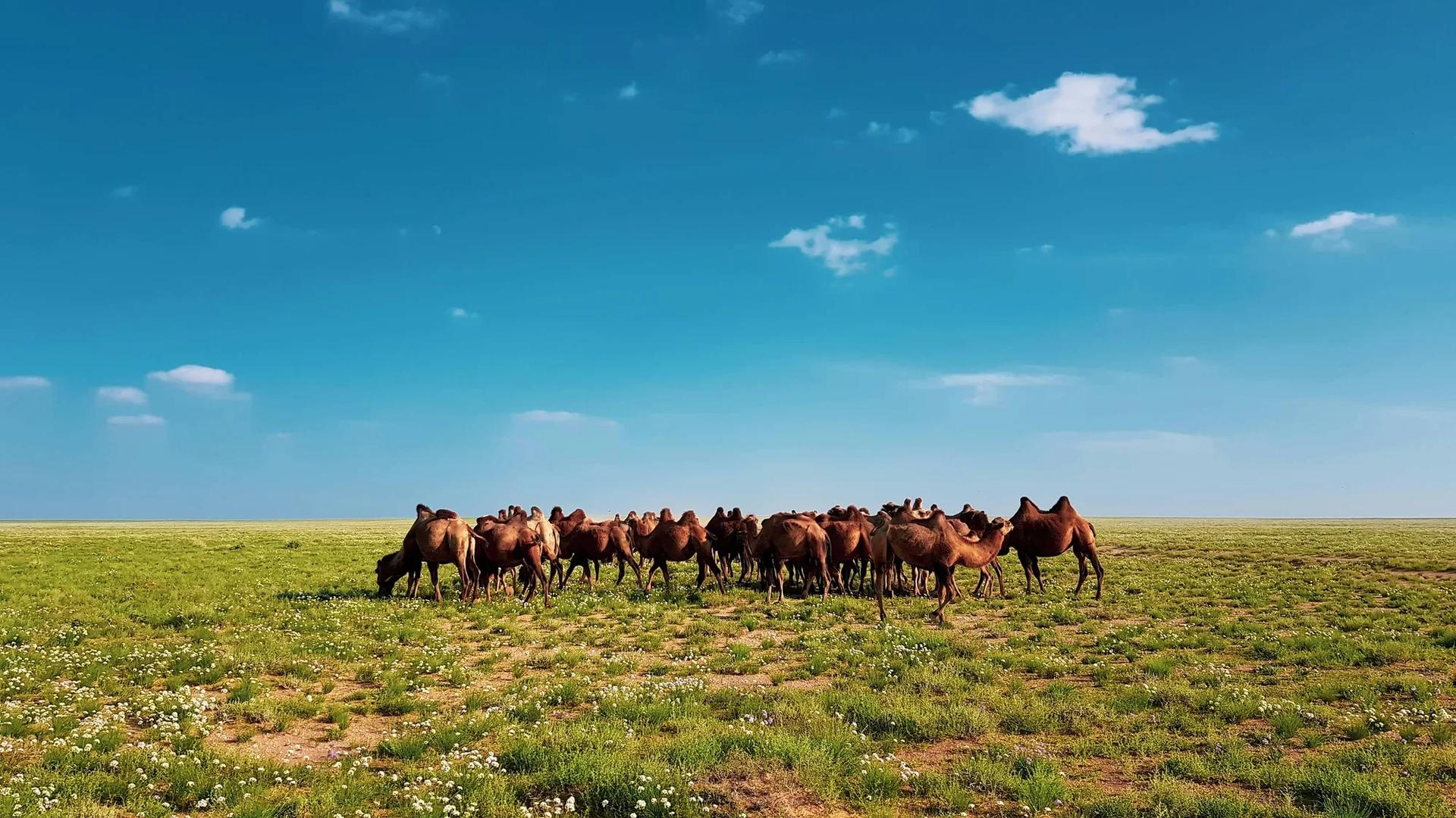 Mongolia's Impact Finance Moment: A Credible Destination for Impact Capitals